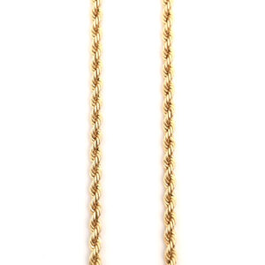 10K Gold Rope Chain 22"